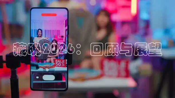 藏晚2026：回顾与展望